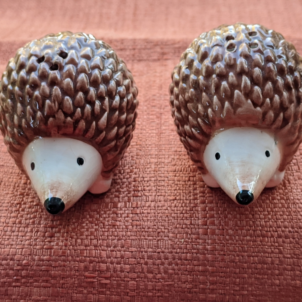 Salt and Pepper Smiling Porcupines. NEW!
